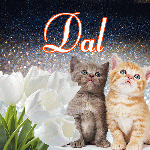 Miłego wieczoru i dobrej nocy życzę!。 