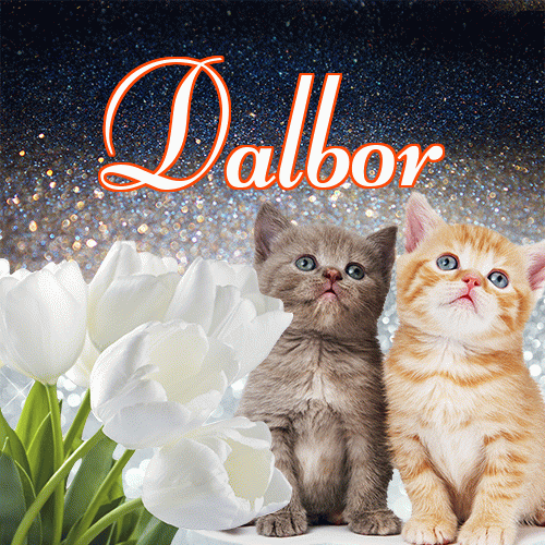 Miłego wieczoru i dobrej nocy życzę!。 