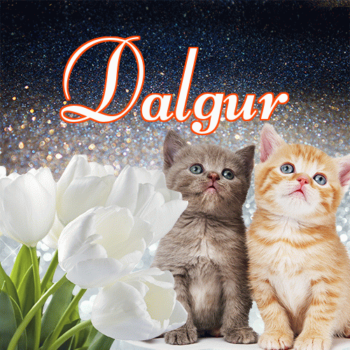 Miłego wieczoru i dobrej nocy życzę!。 