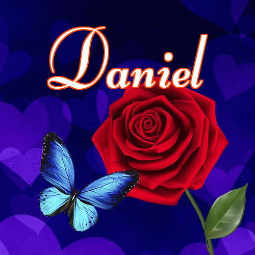 Miłego wieczoru i dobrej nocy życzę!。 