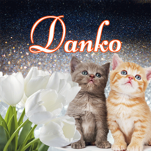 Miłego wieczoru i dobrej nocy życzę!。 