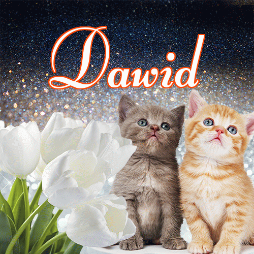 Miłego wieczoru i dobrej nocy życzę!。 