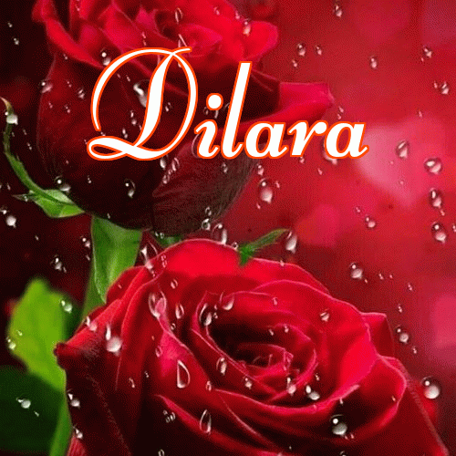 Miłego wieczoru i dobrej nocy życzę!。 