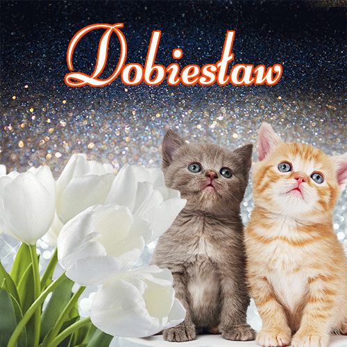 Miłego wieczoru i dobrej nocy życzę!。 