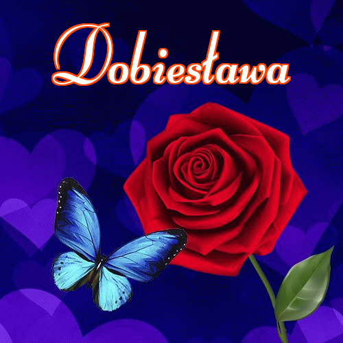 Miłego wieczoru i dobrej nocy życzę!。 