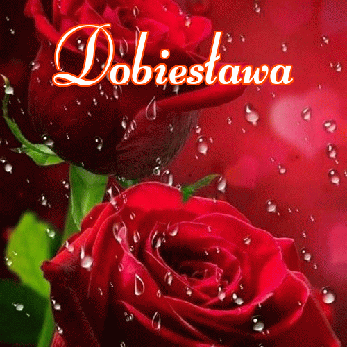 Miłego wieczoru i dobrej nocy życzę!。 