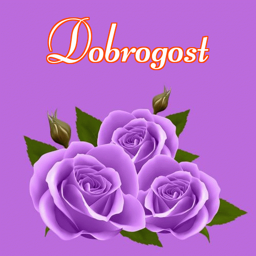 Miłego wieczoru i dobrej nocy życzę!。 