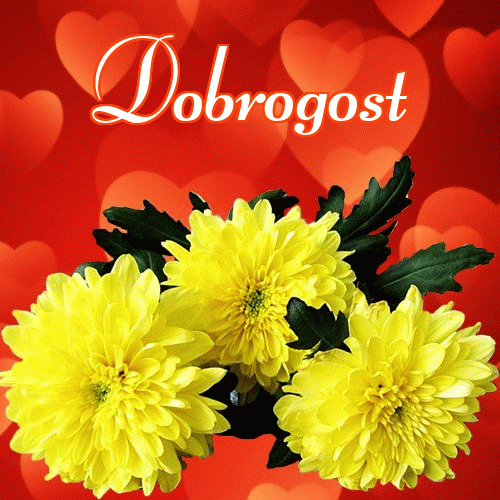 Miłego wieczoru i dobrej nocy życzę!。 