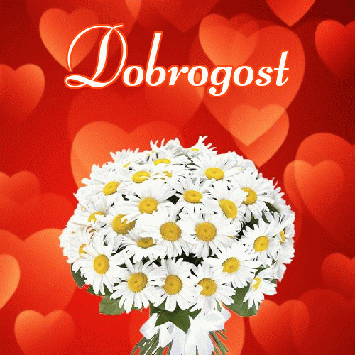 Miłego wieczoru i dobrej nocy życzę!。 