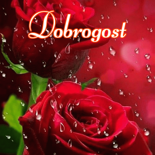 Miłego wieczoru i dobrej nocy życzę!。 