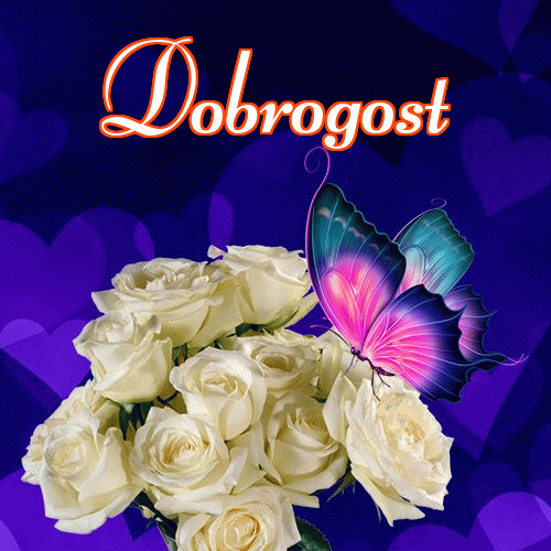 Miłego wieczoru i dobrej nocy życzę!。 