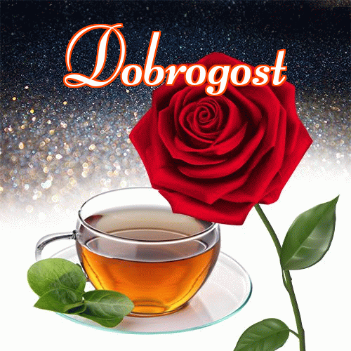 Miłego wieczoru i dobrej nocy życzę!。 