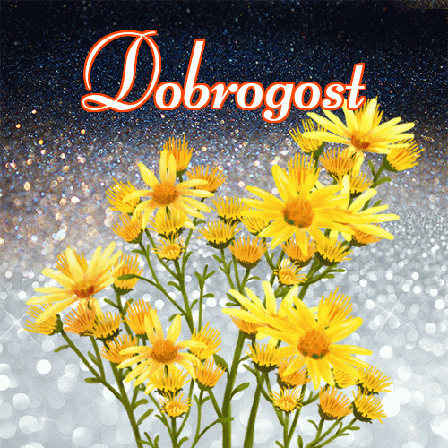 Miłego wieczoru i dobrej nocy życzę!。 