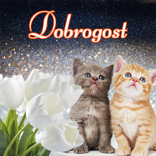 Miłego wieczoru i dobrej nocy życzę!。 