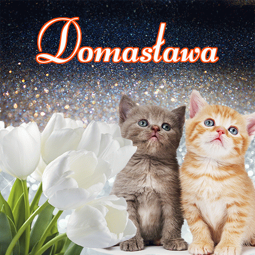 Miłego wieczoru i dobrej nocy życzę!。 