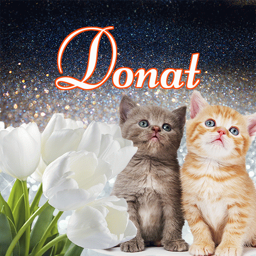 Miłego wieczoru i dobrej nocy życzę!。 