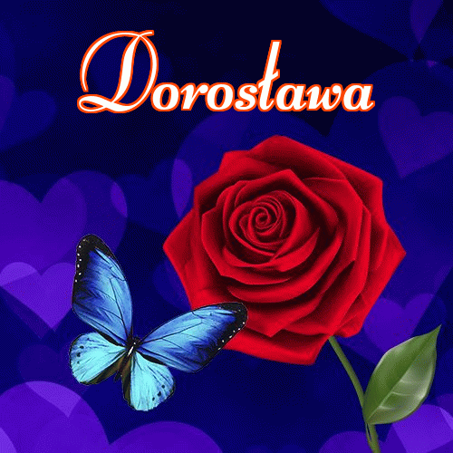 Miłego wieczoru i dobrej nocy życzę!。 