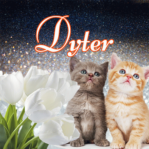 Miłego wieczoru i dobrej nocy życzę!。 