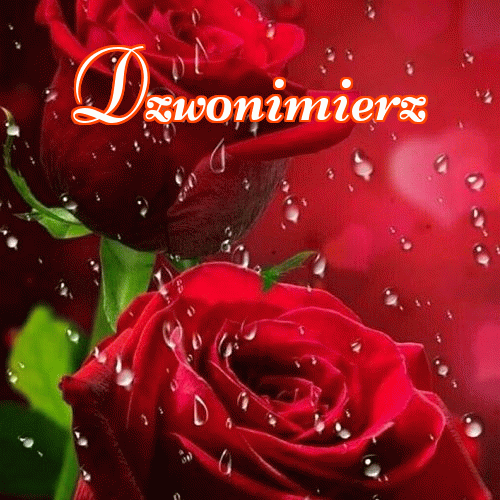 Miłego wieczoru i dobrej nocy życzę!。 