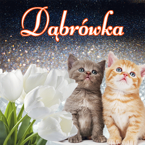 Miłego wieczoru i dobrej nocy życzę!。 