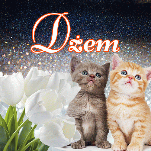 Miłego wieczoru i dobrej nocy życzę!。 