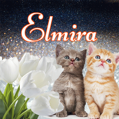 Miłego wieczoru i dobrej nocy życzę!。 