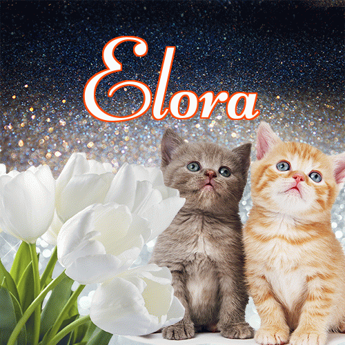 Miłego wieczoru i dobrej nocy życzę!。 