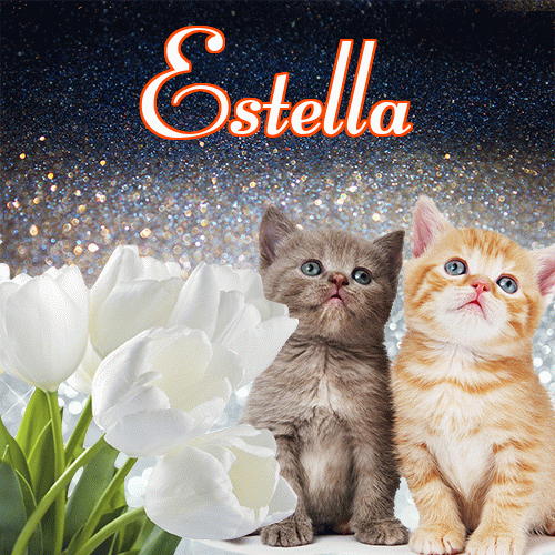 Miłego wieczoru i dobrej nocy życzę!。 