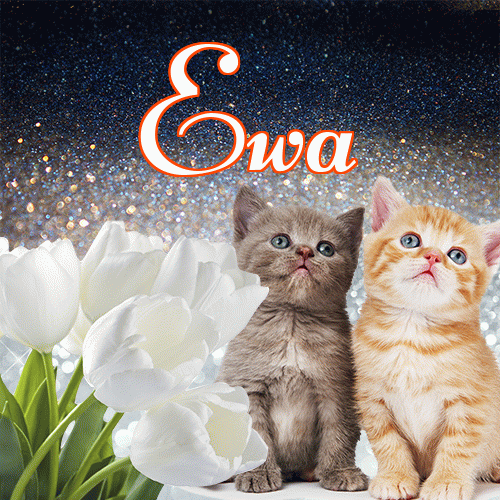 Miłego wieczoru i dobrej nocy życzę!。 