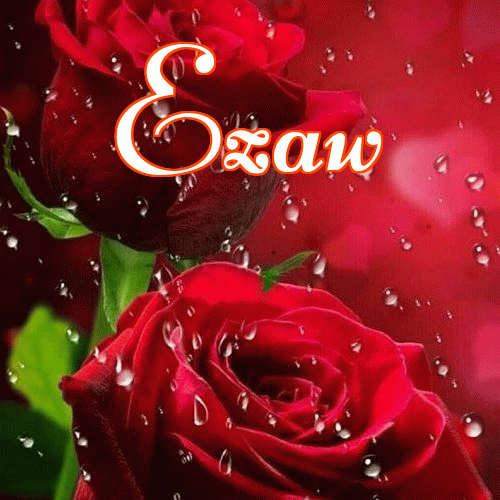 Miłego wieczoru i dobrej nocy życzę!。 