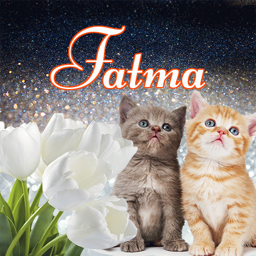 Miłego wieczoru i dobrej nocy życzę!。 