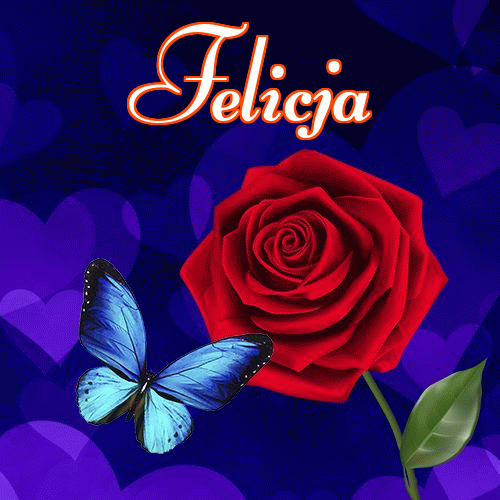 Miłego wieczoru i dobrej nocy życzę!。 