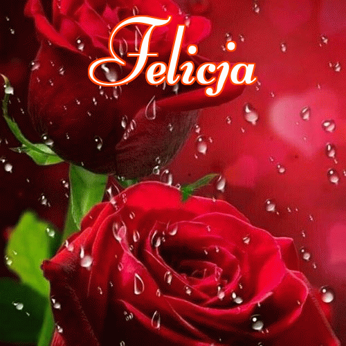 Miłego wieczoru i dobrej nocy życzę!。 