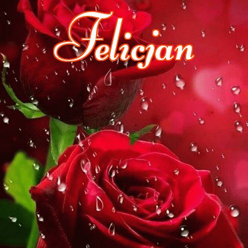 Miłego wieczoru i dobrej nocy życzę!。 