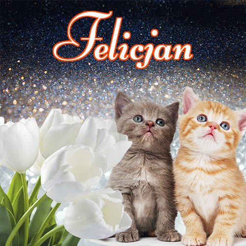 Miłego wieczoru i dobrej nocy życzę!。 