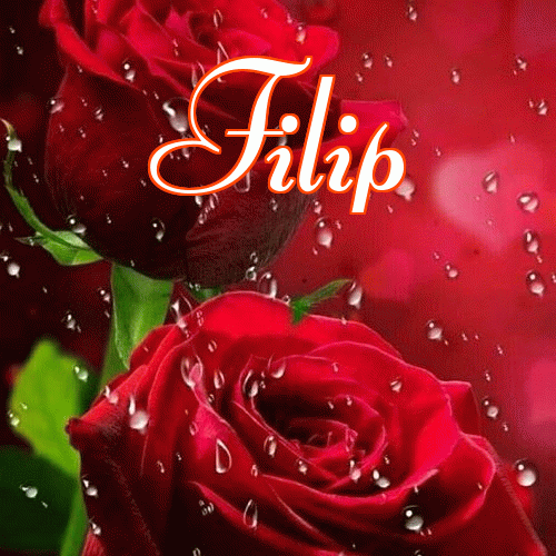 Miłego wieczoru i dobrej nocy życzę!。 