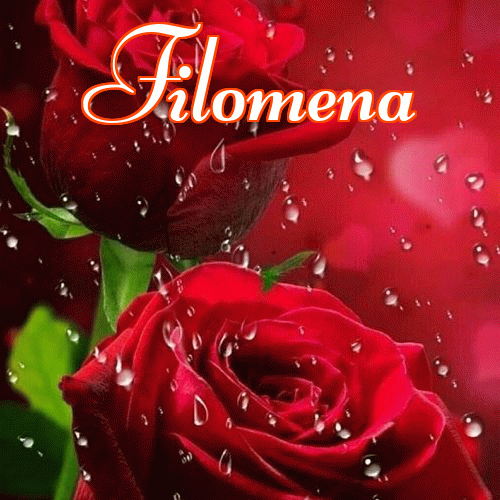 Miłego wieczoru i dobrej nocy życzę!。 