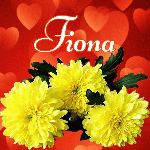 Miłego wieczoru i dobrej nocy życzę!。 