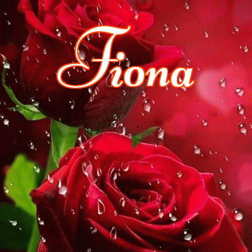 Miłego wieczoru i dobrej nocy życzę!。 