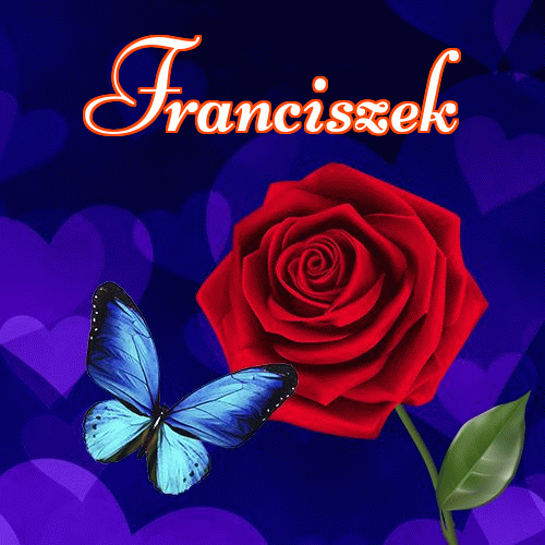 Miłego wieczoru i dobrej nocy życzę!。 