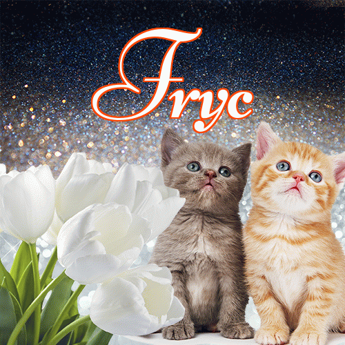 Miłego wieczoru i dobrej nocy życzę!。 