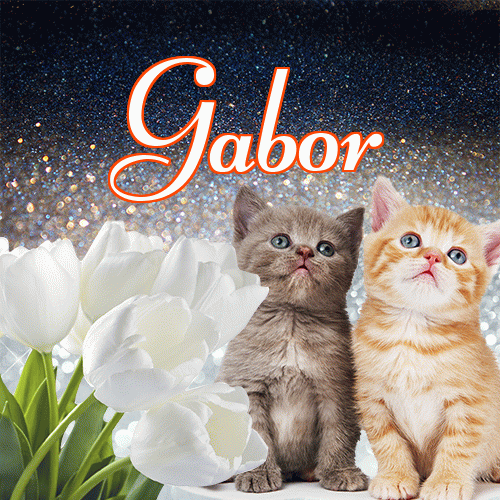 Miłego wieczoru i dobrej nocy życzę!。 