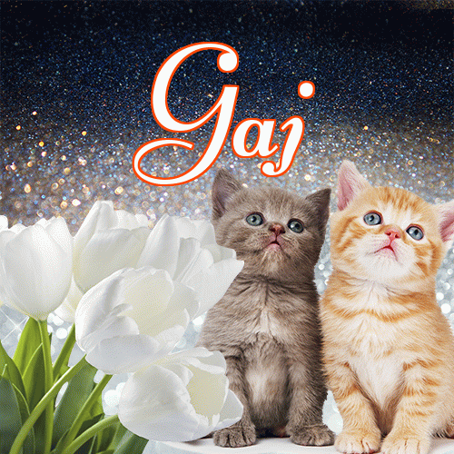 Miłego wieczoru i dobrej nocy życzę!。 