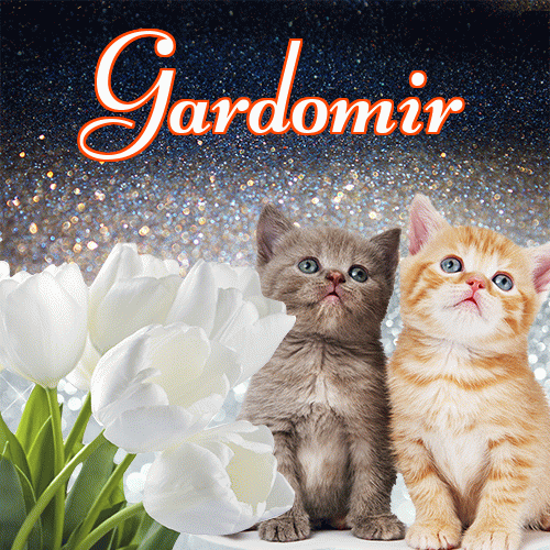 Miłego wieczoru i dobrej nocy życzę!。 