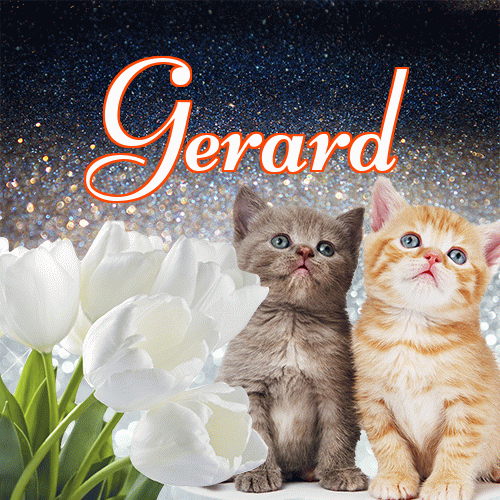 Miłego wieczoru i dobrej nocy życzę!。 