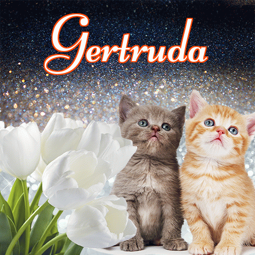 Miłego wieczoru i dobrej nocy życzę!。 