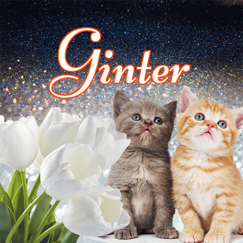 Miłego wieczoru i dobrej nocy życzę!。 