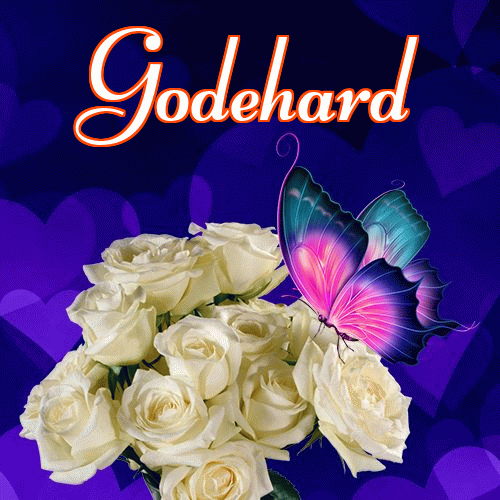 Miłego wieczoru i dobrej nocy życzę!。 