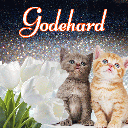 Miłego wieczoru i dobrej nocy życzę!。 