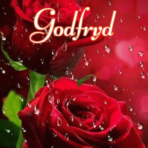 Miłego wieczoru i dobrej nocy życzę!。 